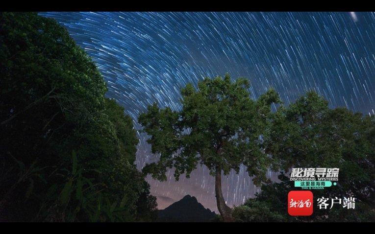 太热闹了!日照市“美术馆里过大年”新春游馆会开幕式活动举办